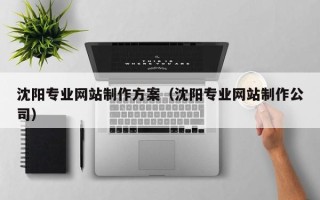 博罗沈阳专业网站制作方案（沈阳专业网站制作公司）